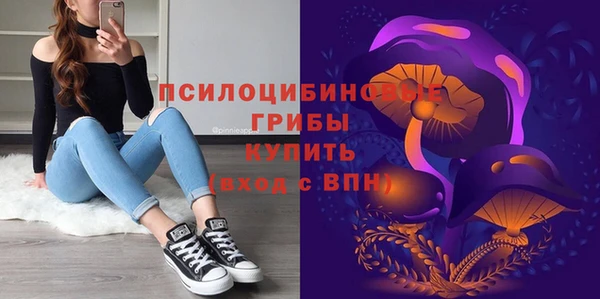 дмт Белокуриха