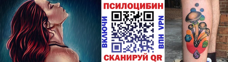 omg ссылки  купить наркотики цена  Энем  Псилоцибиновые грибы мухоморы 
